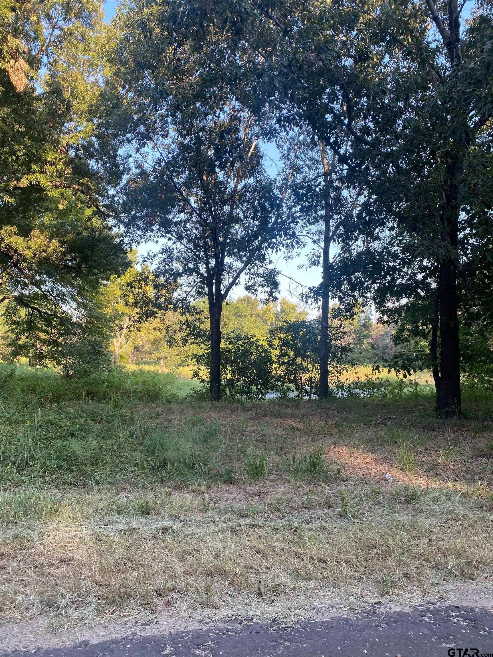 14694 C R 424 Lindale, TX 75771 - Photo 8 of 9