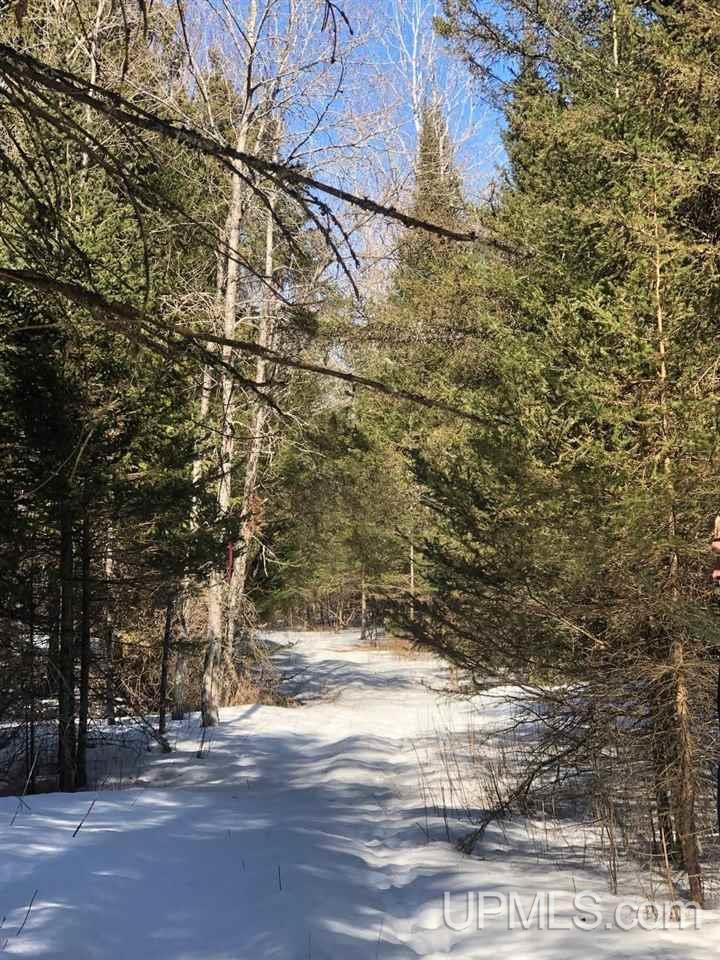 13281 Church P.1 Road Rapid River, MI 49878 - Photo 18 of 23