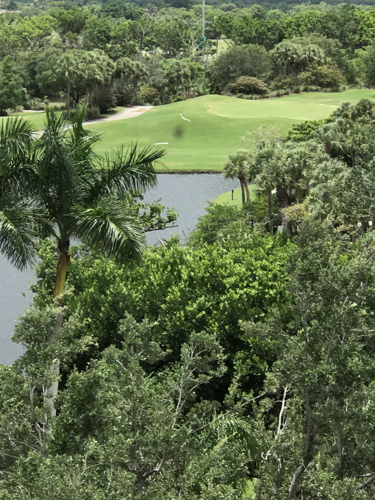 7754 Lakeside Boulevard, Unit 484 Boca Raton, FL 33434 - Photo 37 of 40 18F2C101-11F1-4F3A-B356-072118463175