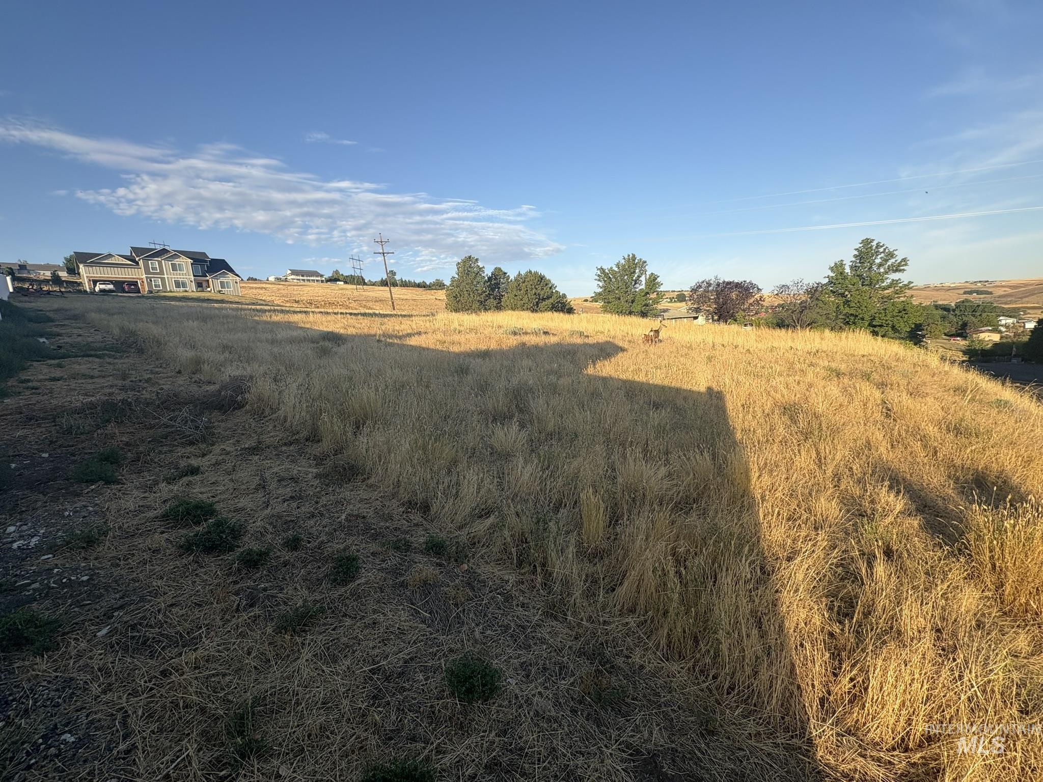 2914 27th Street Clarkston, WA 99403 - Photo 10 of 11 View of yard with a rural view