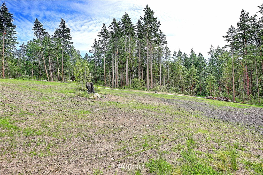265 Durr Road Camano Island, WA 98282 - Photo 8 of 17 Gallery Image 8