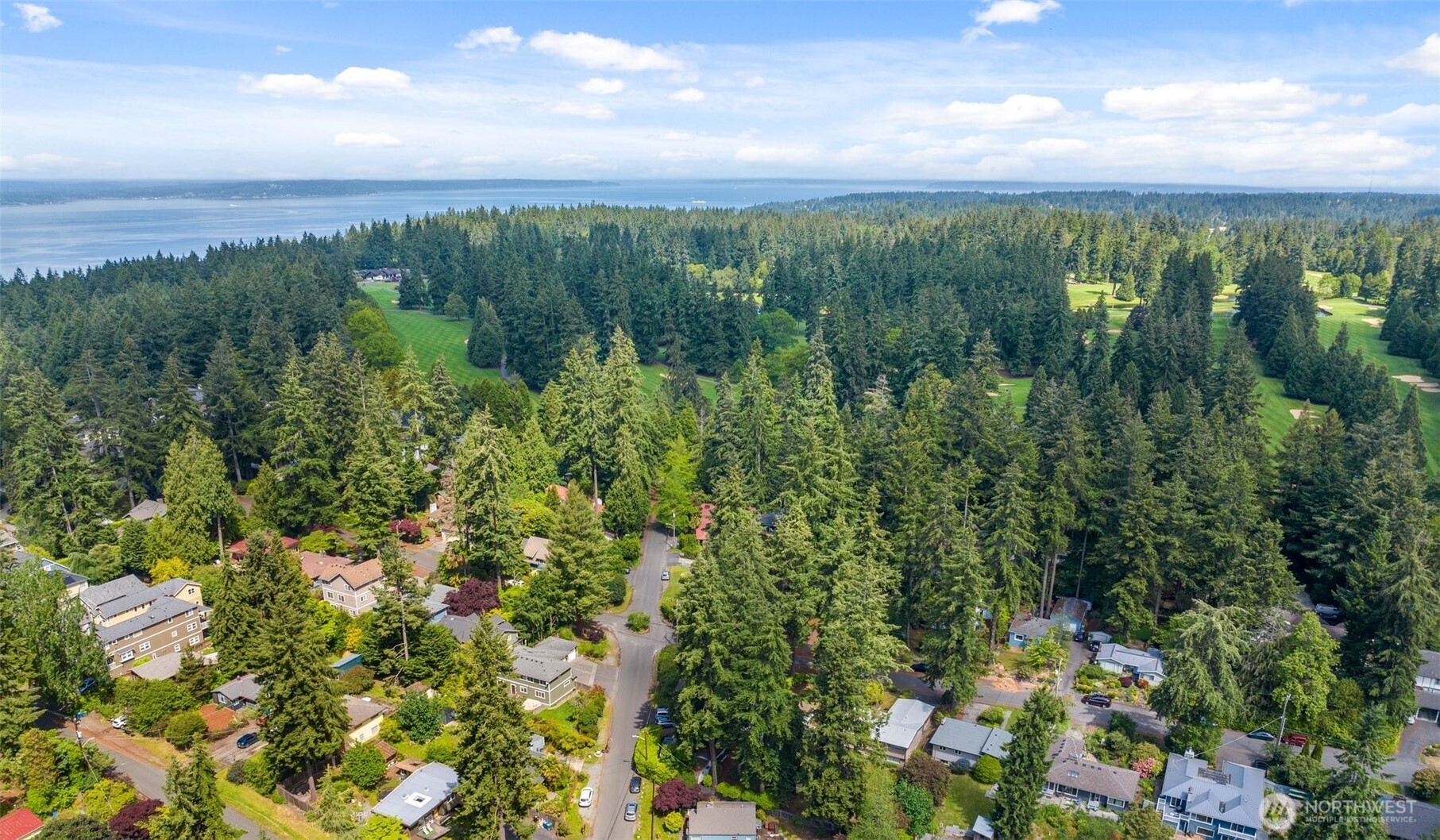 14304 1st Avenue Northwest Seattle, WA 98133 - Photo 17 of 18 a view of a city with lush green forest