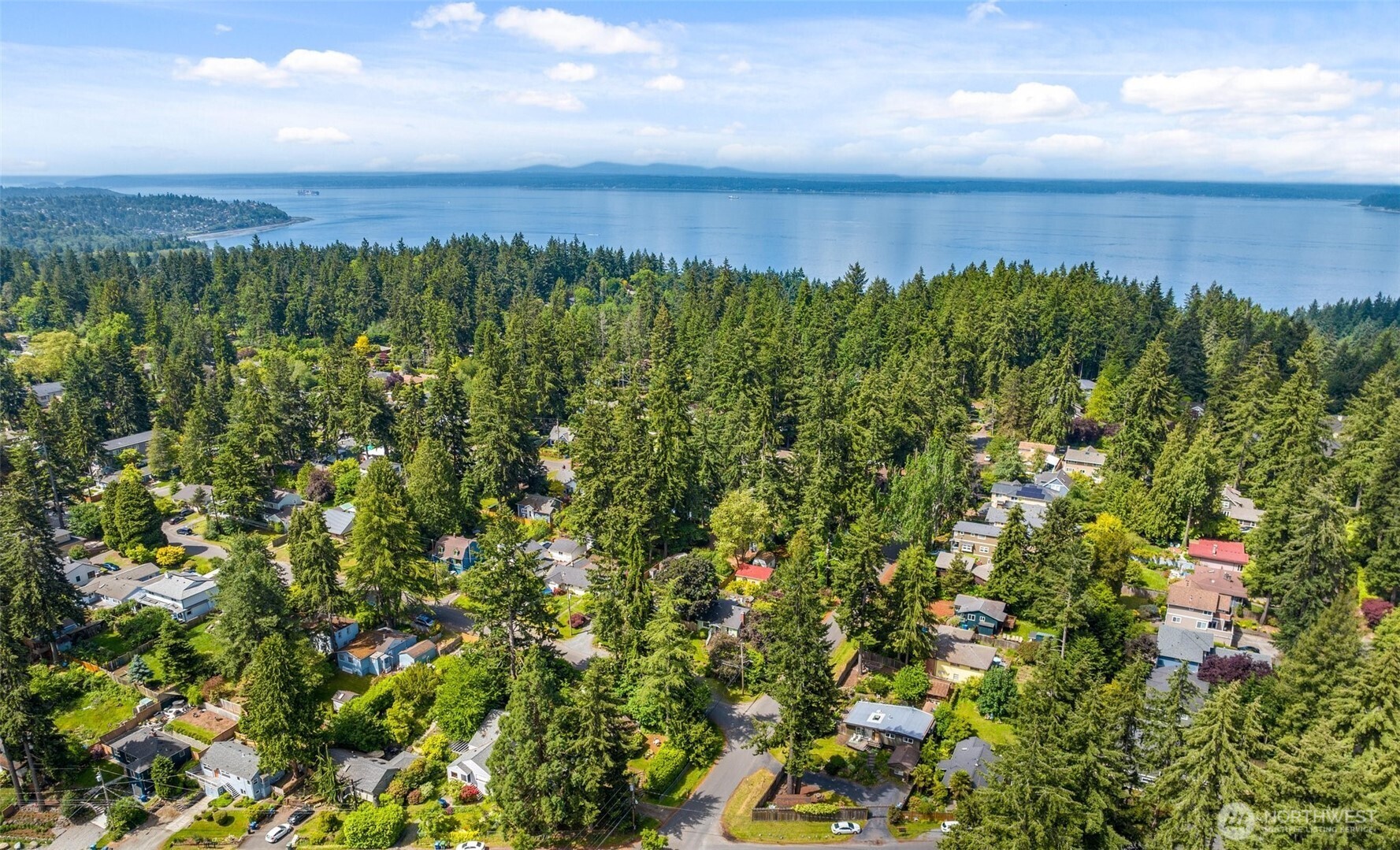 14304 1st Avenue Northwest Seattle, WA 98133 - Photo 18 of 18 a view of a city with lush green forest