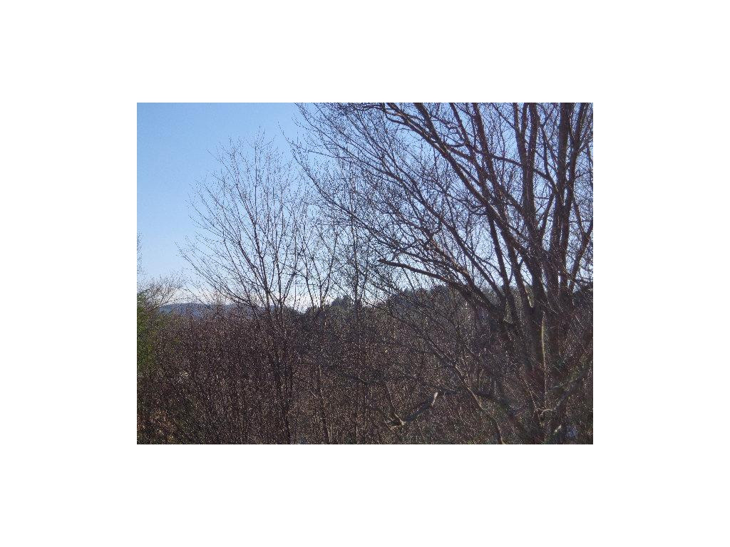 1736 Cold Springs Road Mountain City, TN 37683 - Photo 3 of 5 Photo 3