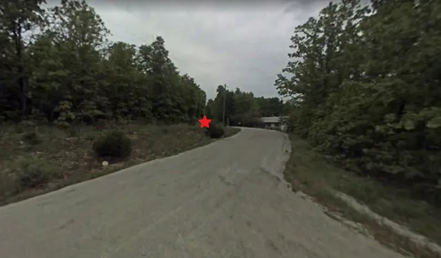 a view of a road with a trees