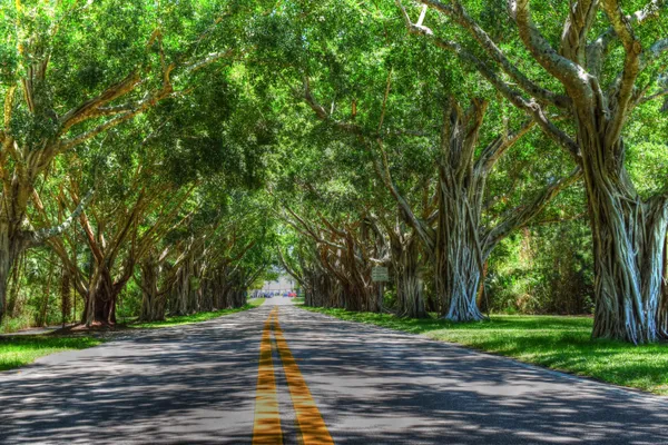$4,900,000 | 934 North Loxahatchee Drive, Jupiter, FL 33458