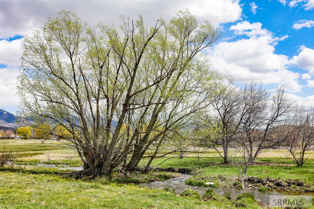 Tbd South Tbd Street Salmon, ID 83467 - Photo 8 of 21