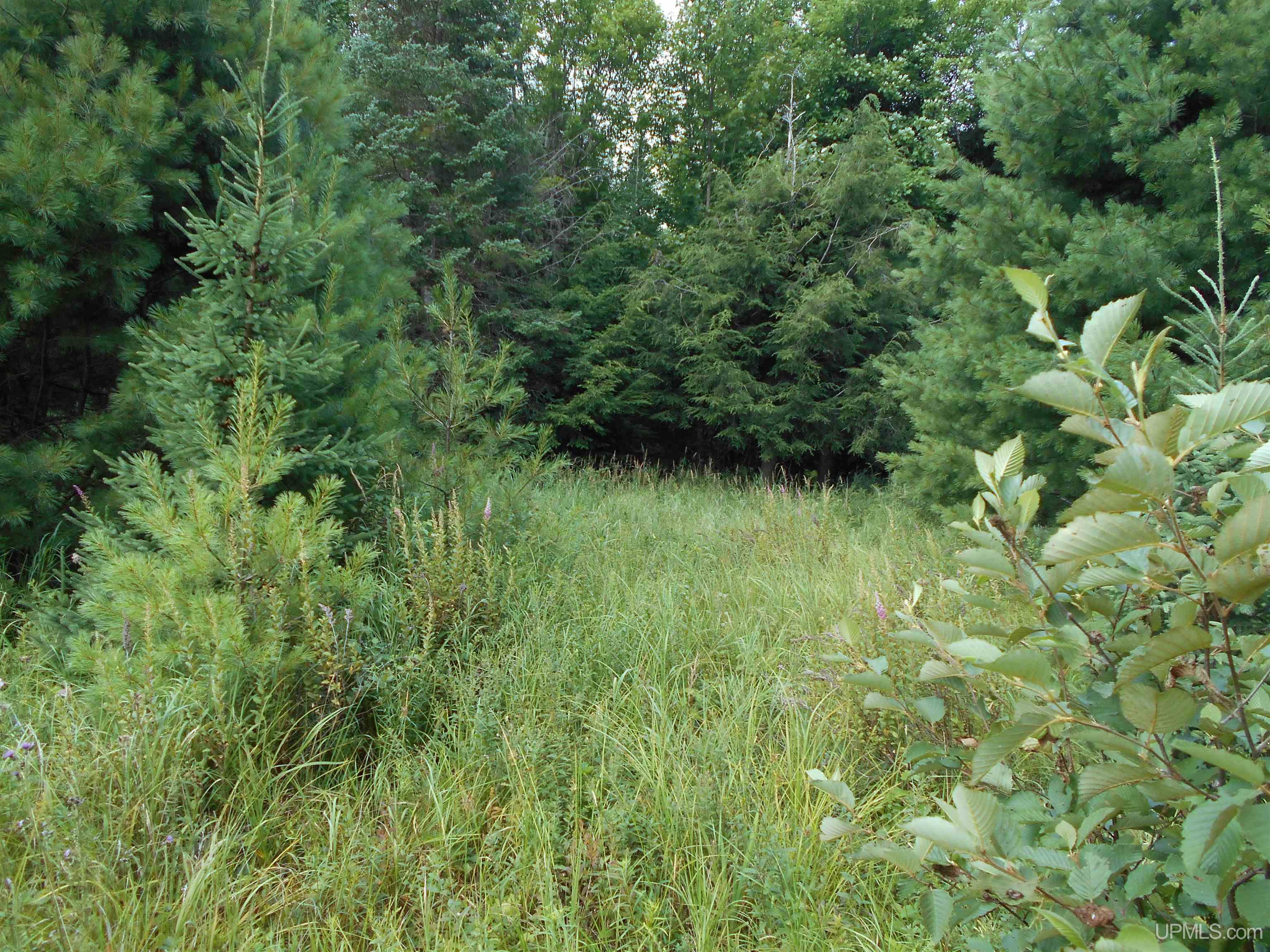 40-acres Garden Grade Road Garden, MI 49817 - Photo 51 of 51