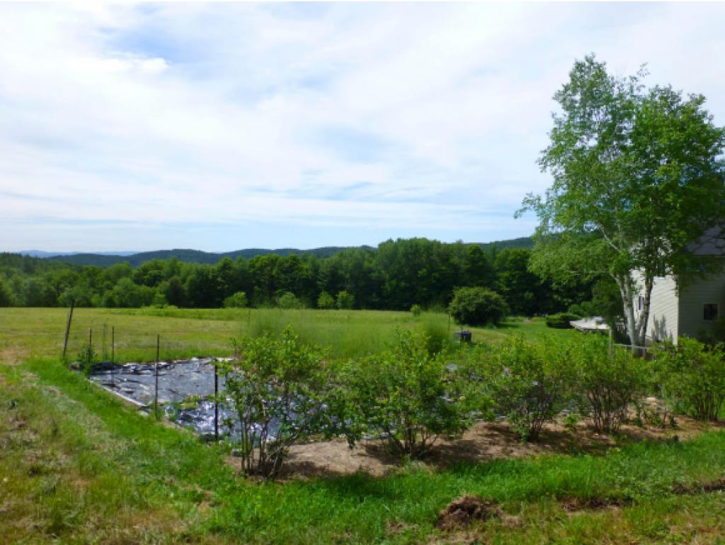 111 Lost Mile Road Newfane, VT 05301 - Photo 14 of 28