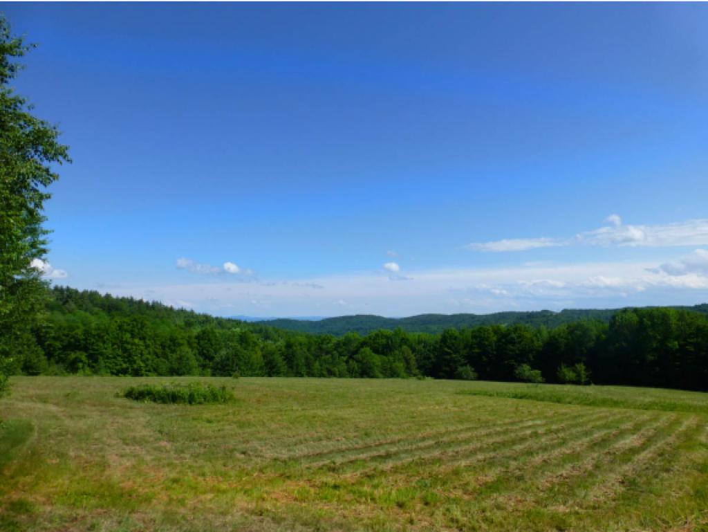 111 Lost Mile Road Newfane, VT 05301 - Photo 8 of 28