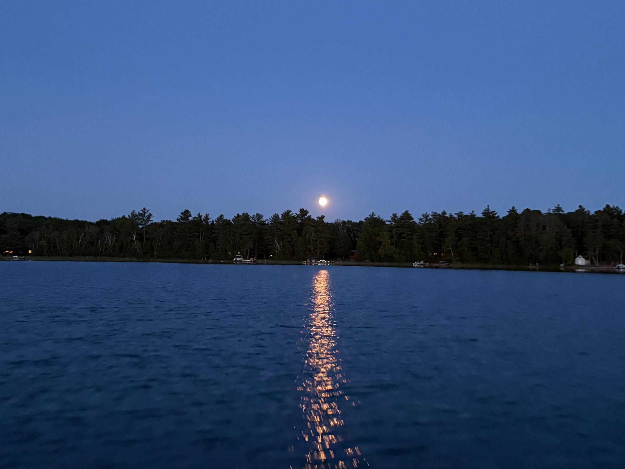 26905 Pelican Beach Road Merrifield, MN 56465 - Photo 44 of 49