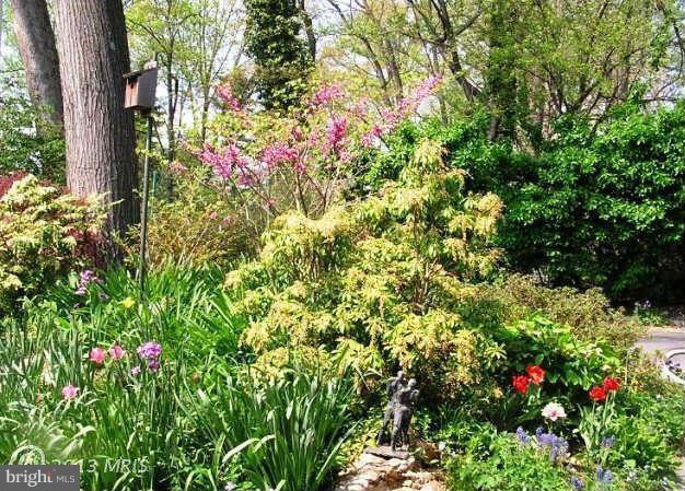 10409 Gary Road, Unit FRONT Potomac, MD 20854 - Photo 14 of 14 a close up of a tree in a garden