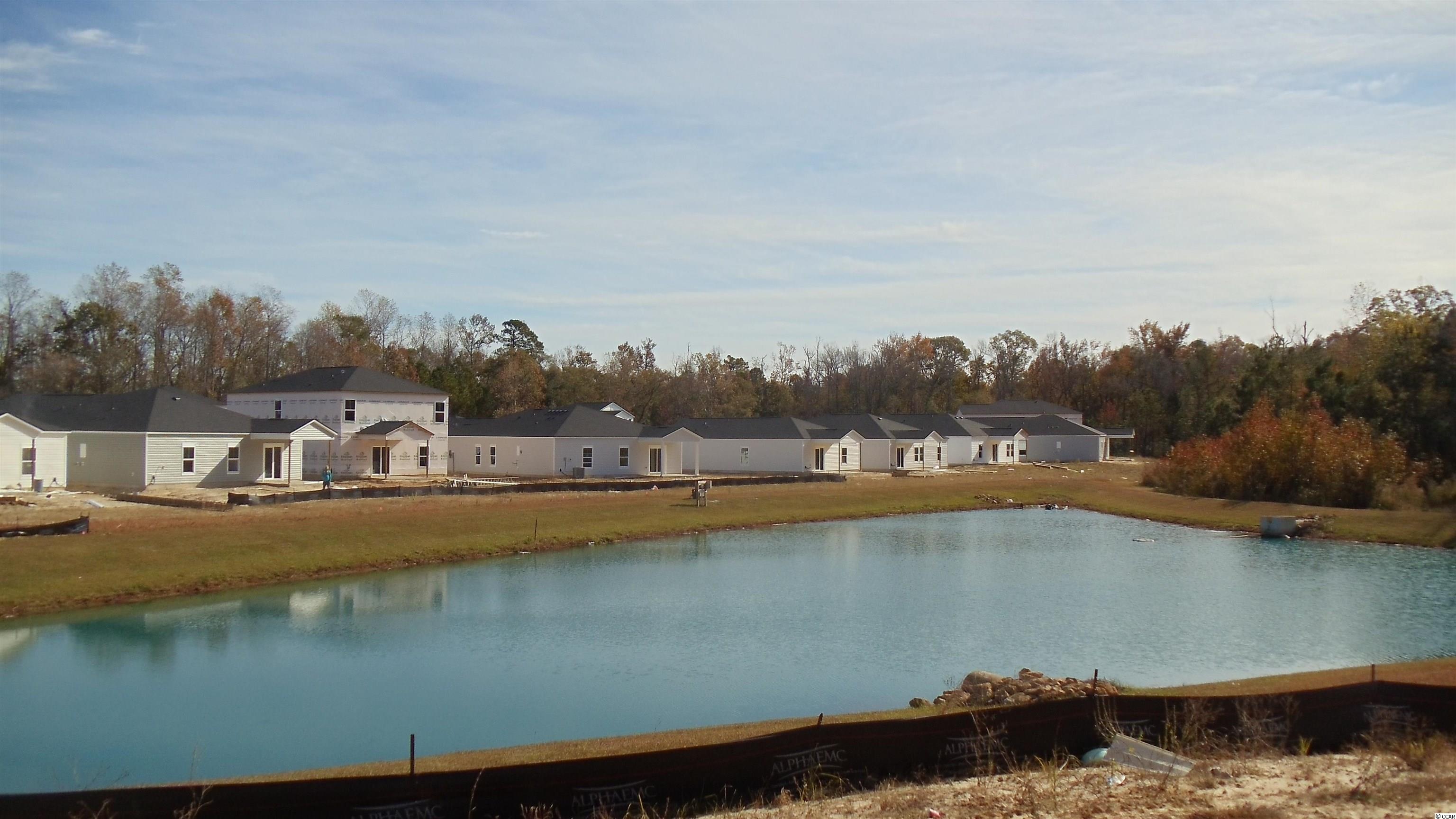 213 Cypress Tree Loop Longs, SC 29568 - Photo 5 of 6 Gallery Image 5