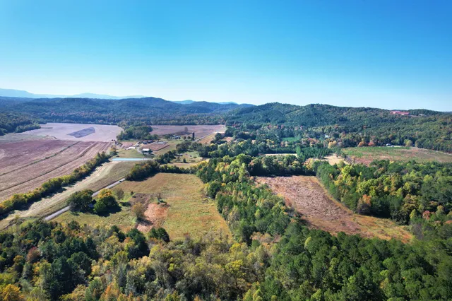 a view of a lush green field with mountains in the background