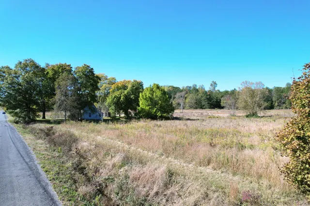 a view of a yard with trees in the background