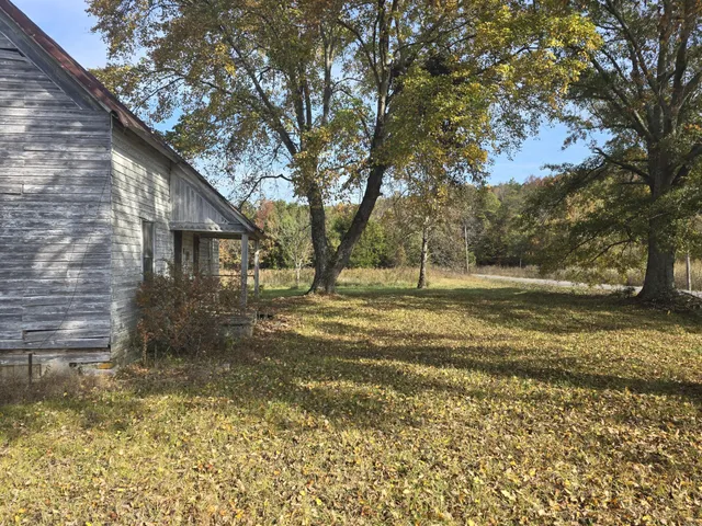a view of dirt yard with a large tree