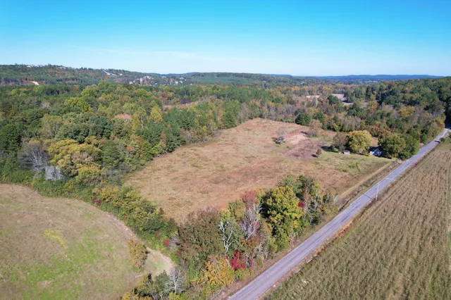 a view of a forest from a balcony