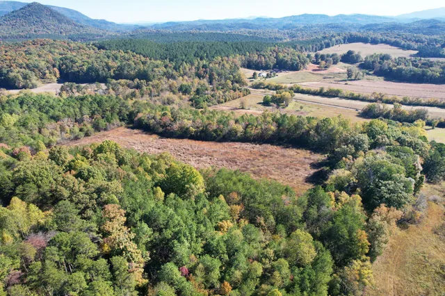 an aerial view of green landscape with trees and houses