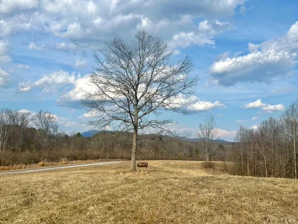 a view of an lake and a yard