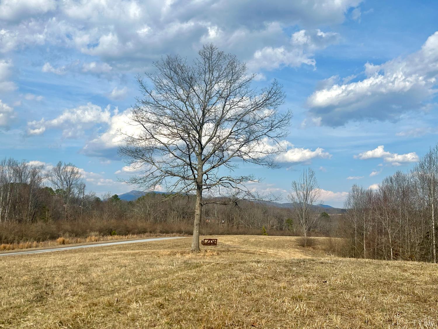 0 Trestle Ridge Drive Goode, VA 24556 - Photo 1 of 15 a view of an lake and a yard