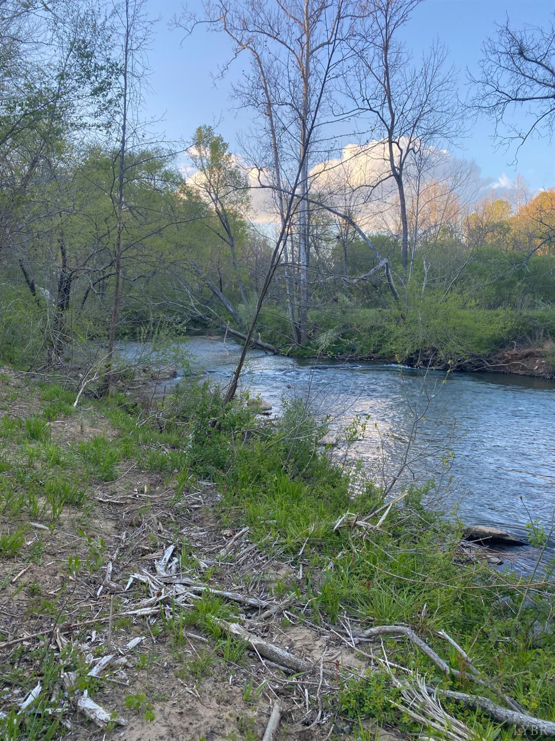 0 Trestle Ridge Drive Goode, VA 24556 - Photo 12 of 15 a view of a dry yard with trees