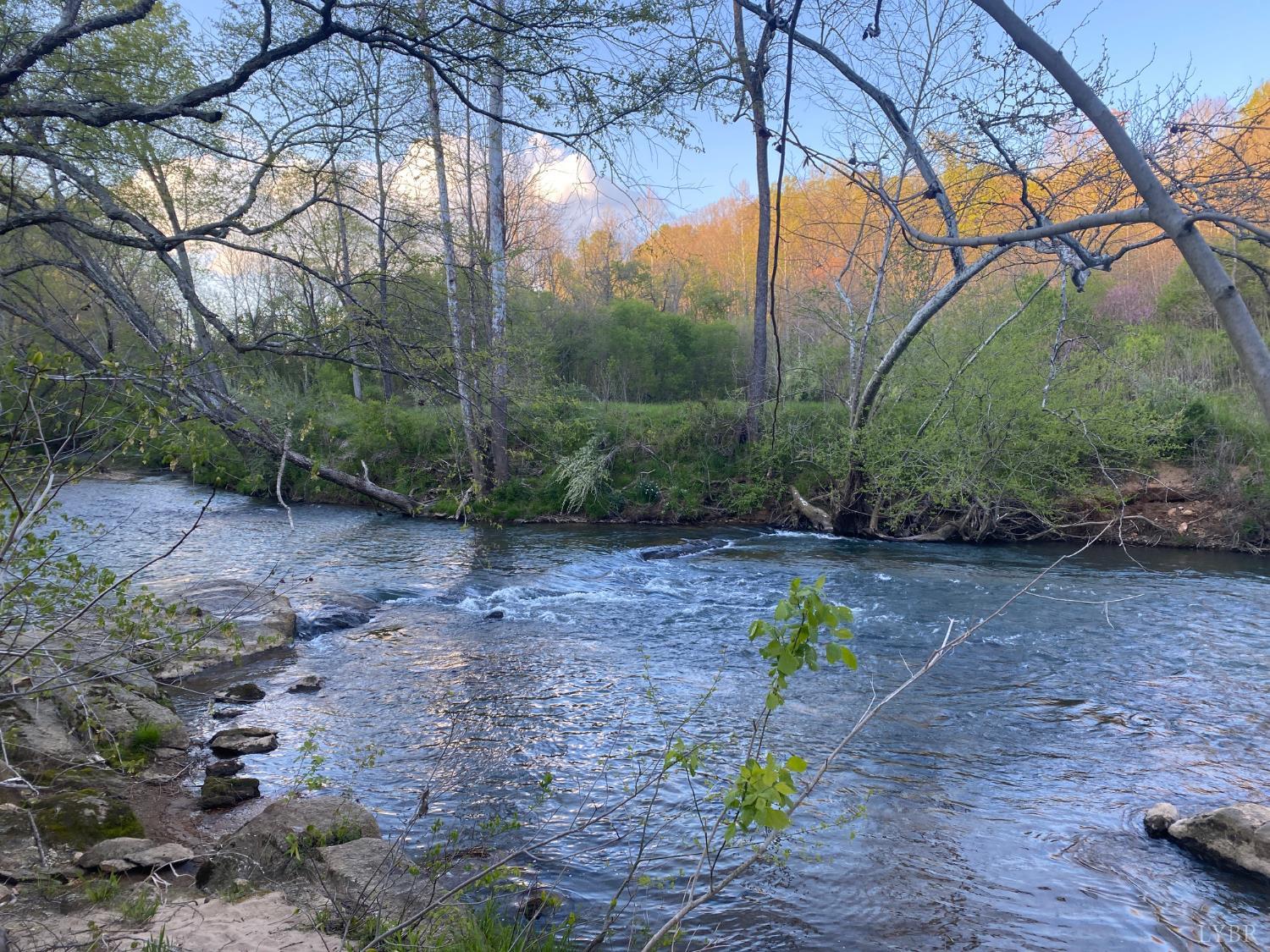 0 Trestle Ridge Drive Goode, VA 24556 - Photo 13 of 15 a backyard of a house with lots of green space