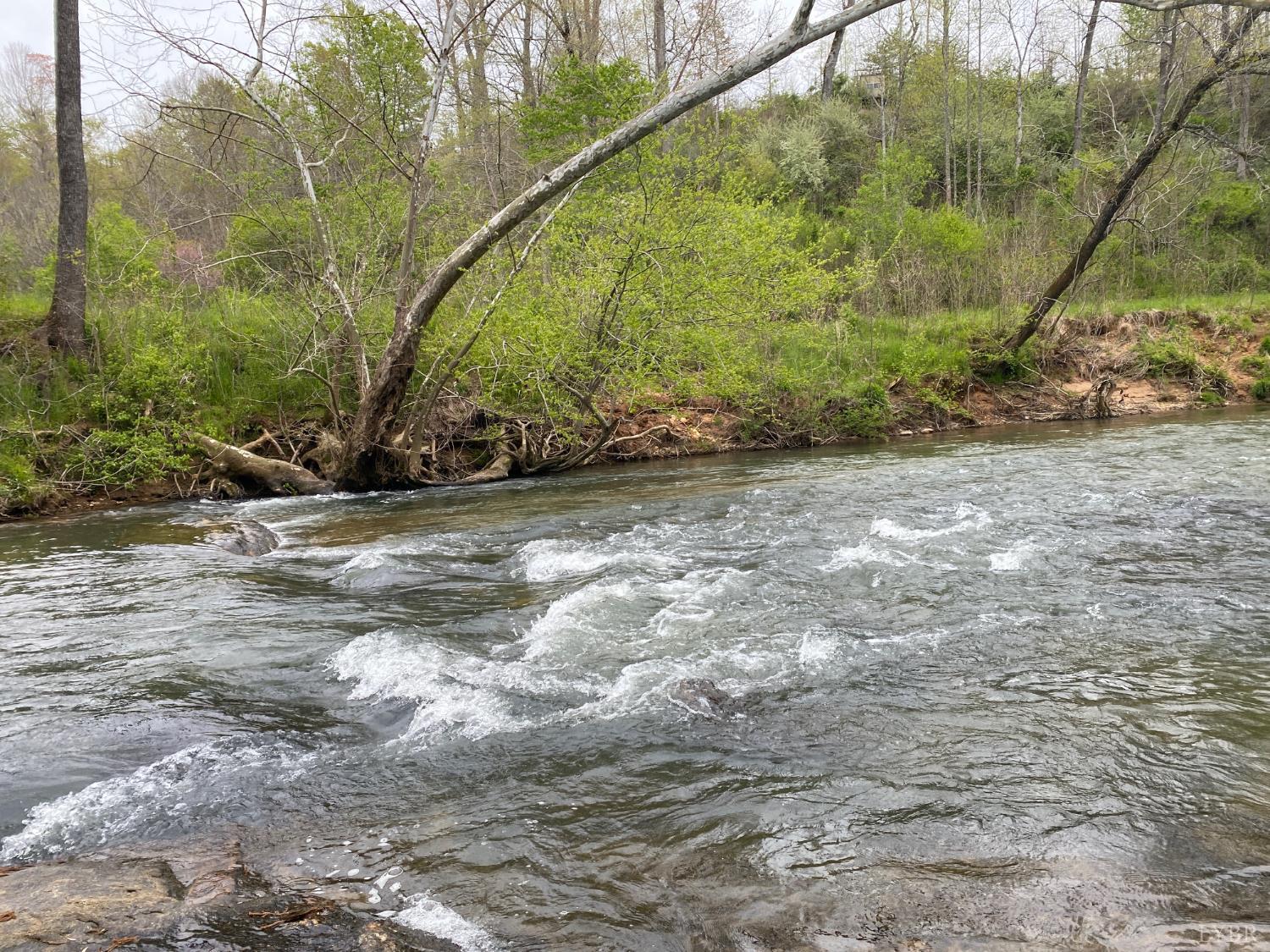 0 Trestle Ridge Drive Goode, VA 24556 - Photo 14 of 15 a view of a yard with large trees