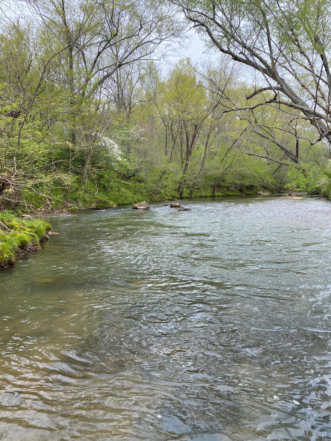 0 Trestle Ridge Drive Goode, VA 24556 - Photo 15 of 15 a view of a yard