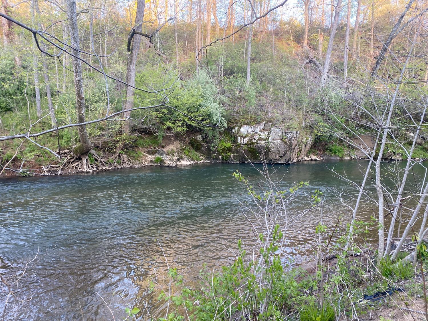 0 Trestle Ridge Drive Goode, VA 24556 - Photo 4 of 15 a backyard of a house with lots of green space and trees