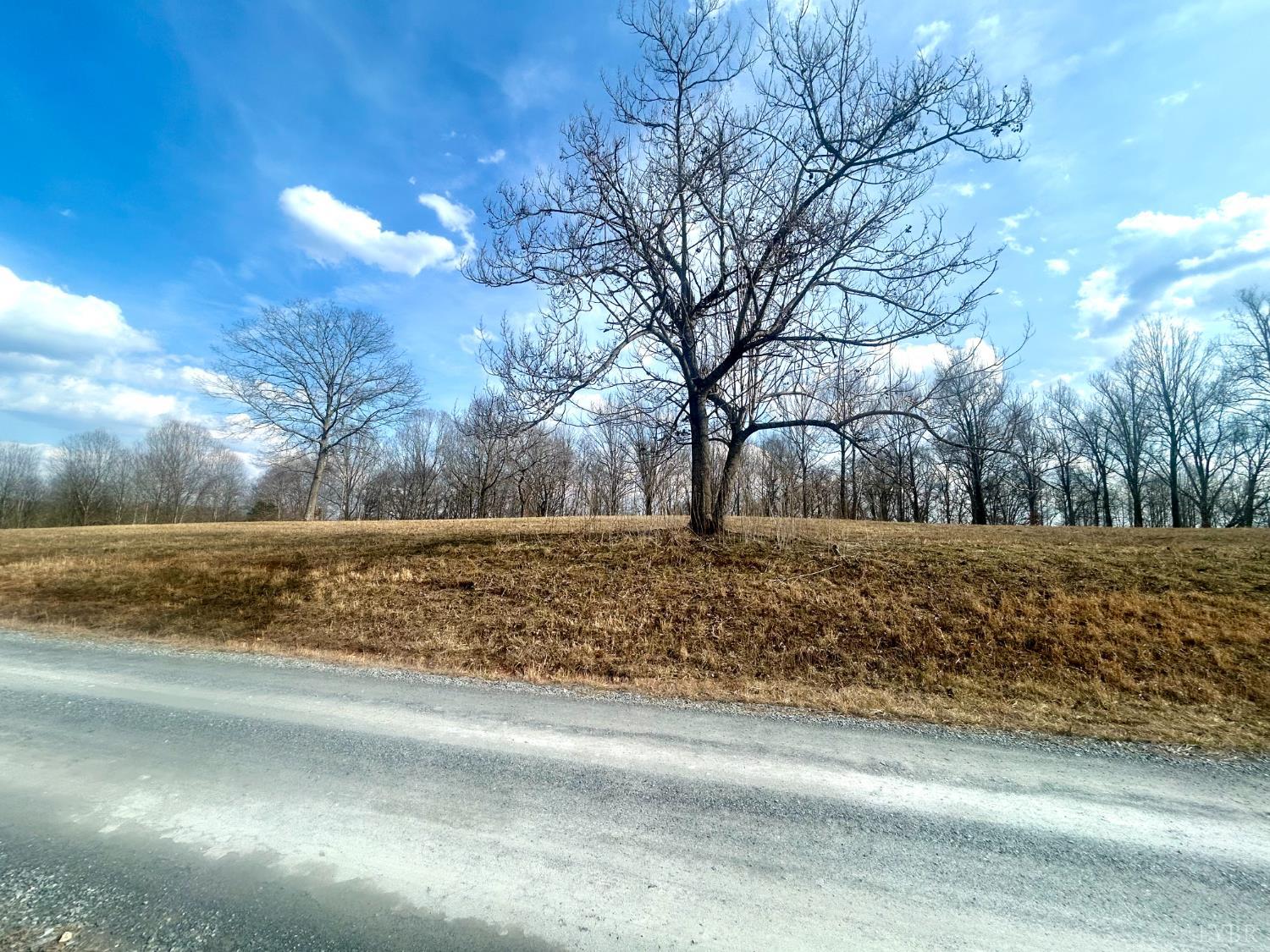 0 Trestle Ridge Drive Goode, VA 24556 - Photo 6 of 15 a view of yard covered with snow