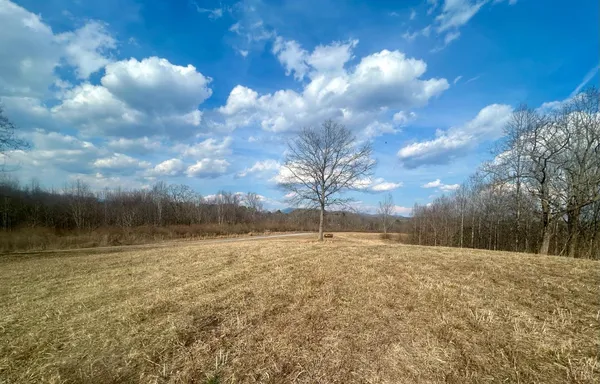 a view of a yard with a house