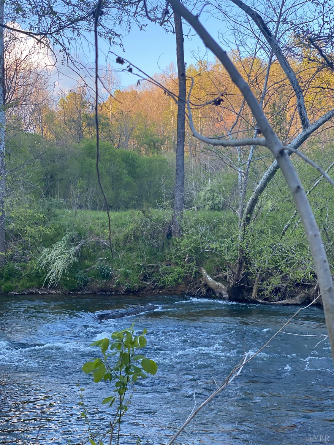 0 Trestle Ridge Drive Goode, VA 24556 - Photo 10 of 15 a backyard of a house with lots of green space