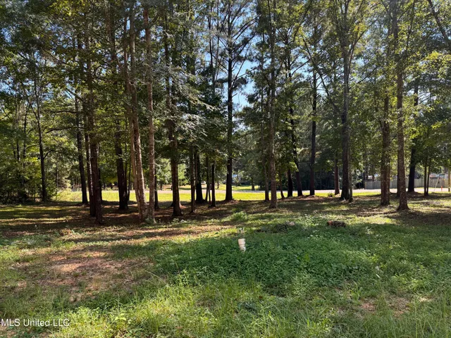 $100,000 | 505 Hillview Court, Brandon, MS 39042