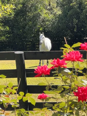 $5,575,000 | 1242 Audubon Drive Southeast, Aiken, SC 29801