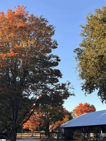 $5,575,000 | 1242 Audubon Drive Southeast, Aiken, SC 29801