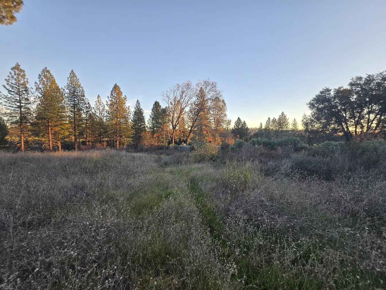 Donkey Mine Road Oak Run, CA 96069 - Photo 6 of 17 20251206_161843