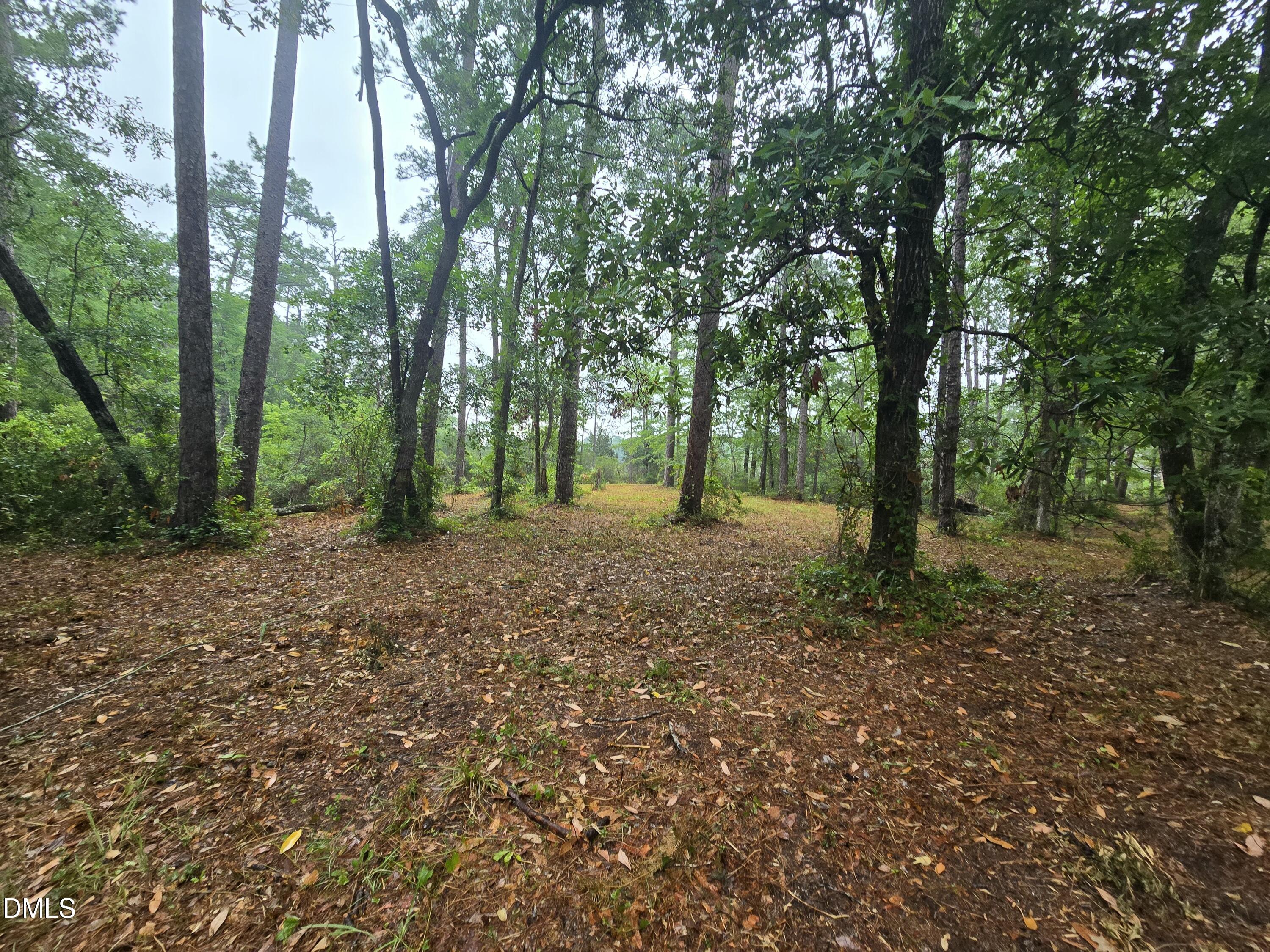 488 Bay Shores Road Merritt, NC 28556 - Photo 2 of 5 a view of a forest with trees in the background