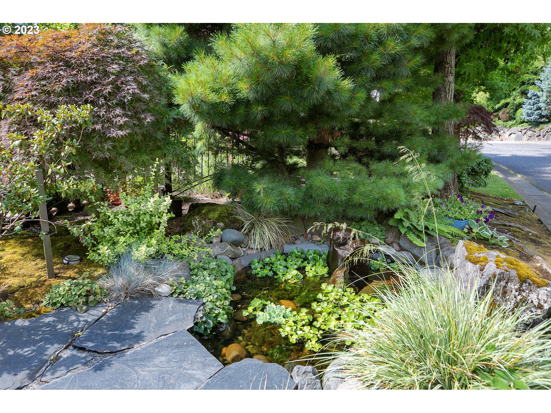 4027 Northwest Devoto Lane Portland, OR 97229 - Photo 6 of 48 a view of a garden with a tree