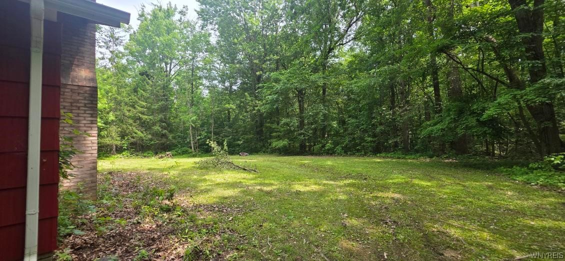 8905 County Road Clarence, NY 14032 - Photo 12 of 46