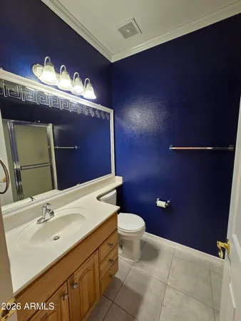 a bathroom with a sink vanity and a toilet