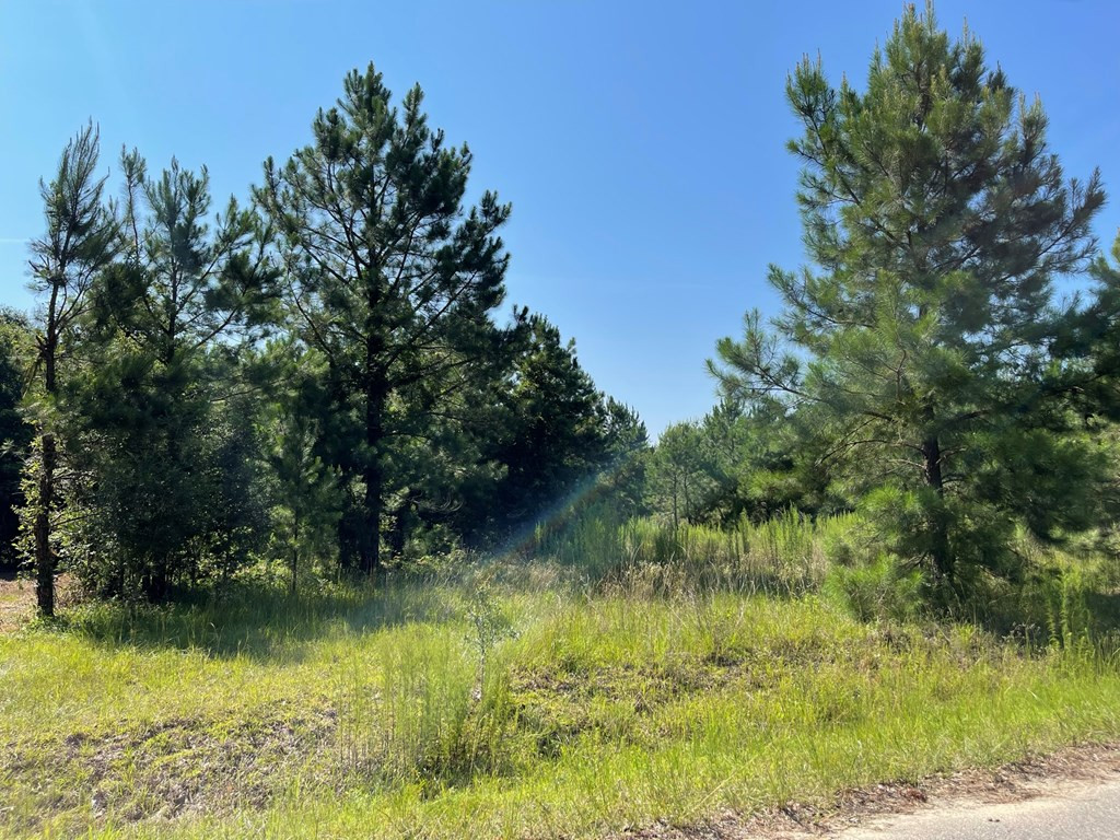 177 Lower Cherokee Road Neeses, SC 29107 - Photo 28 of 32 Photo 28