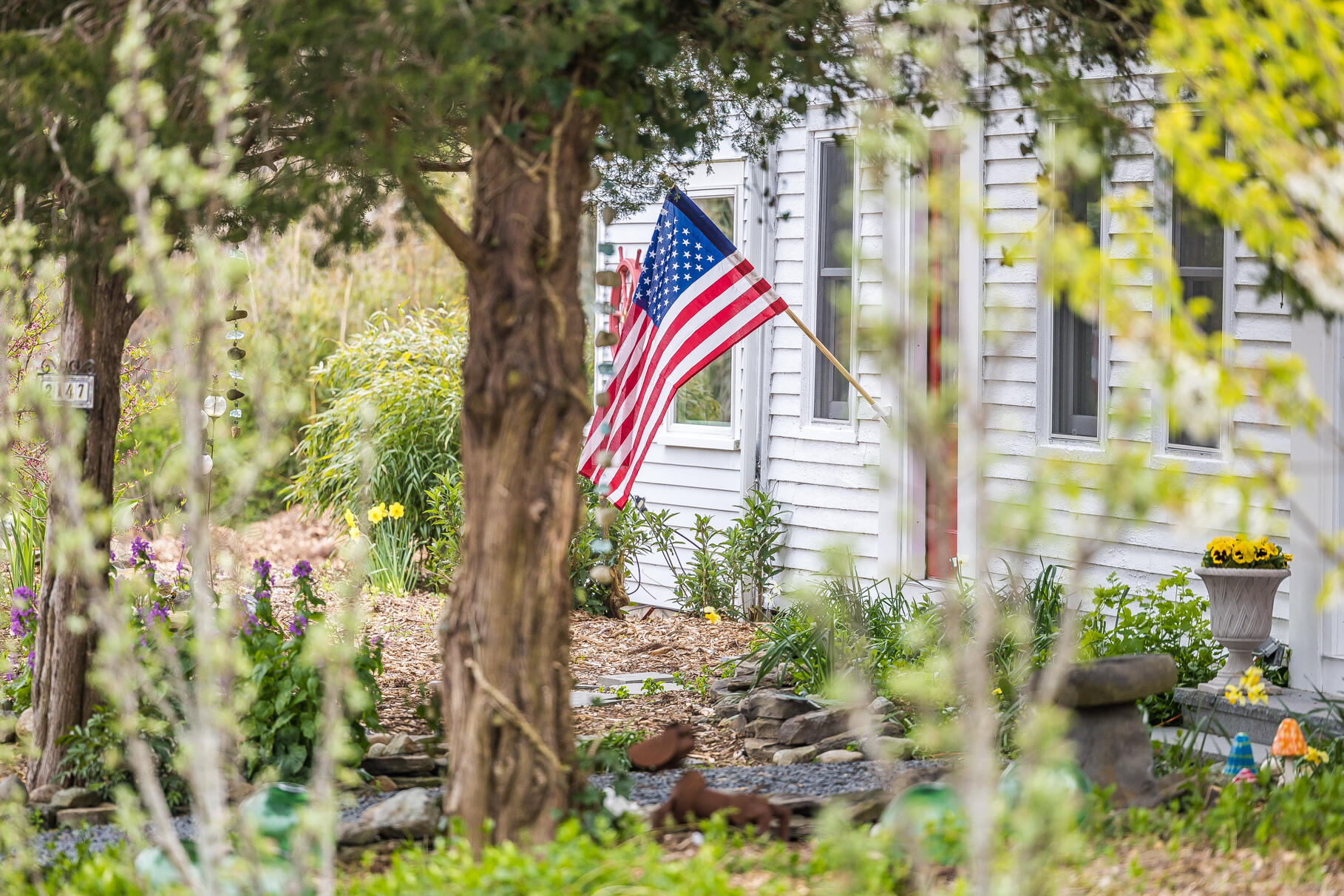 2147 Route 6 Wellfleet, MA 02667 - Photo 5 of 98 2147 state highway, wellfleet, ma