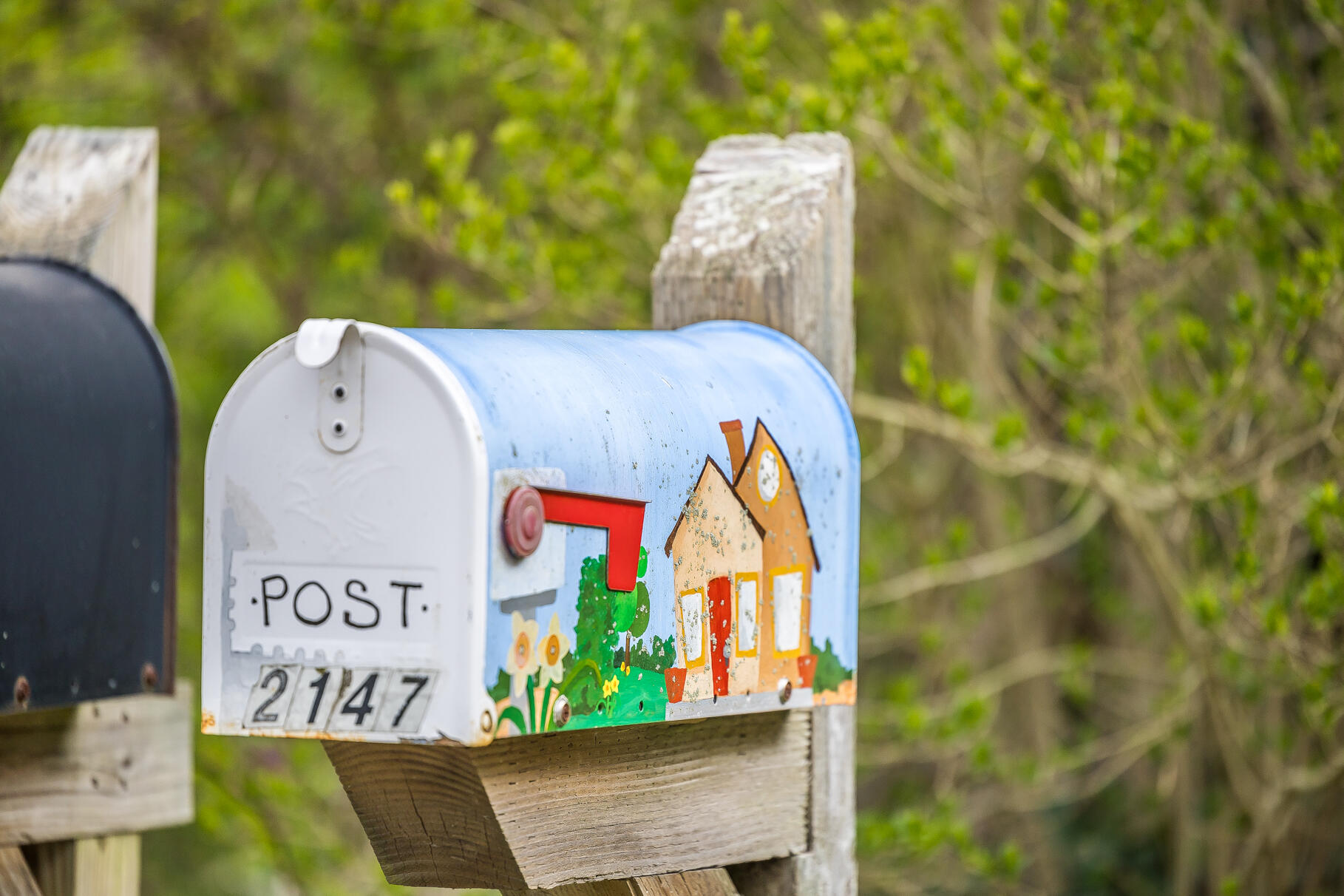 2147 Route 6 Wellfleet, MA 02667 - Photo 96 of 98 entry