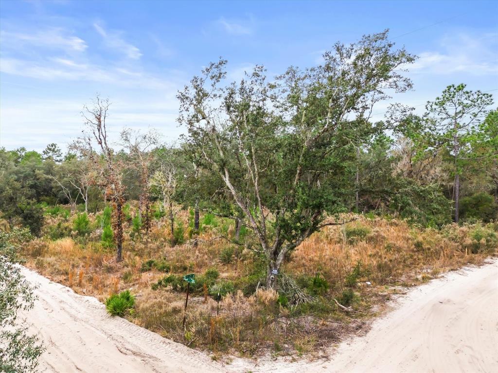 Southwest 158th Lane Ocala, FL 34472 - Photo 11 of 12