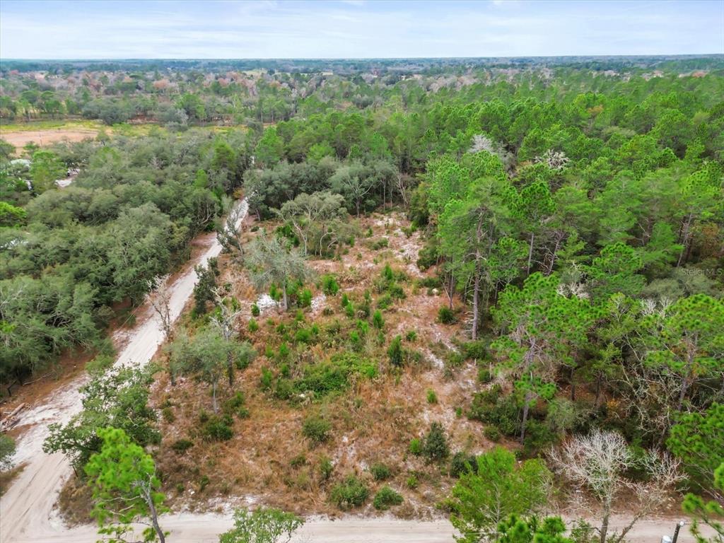 Southwest 158th Lane Ocala, FL 34472 - Photo 3 of 12