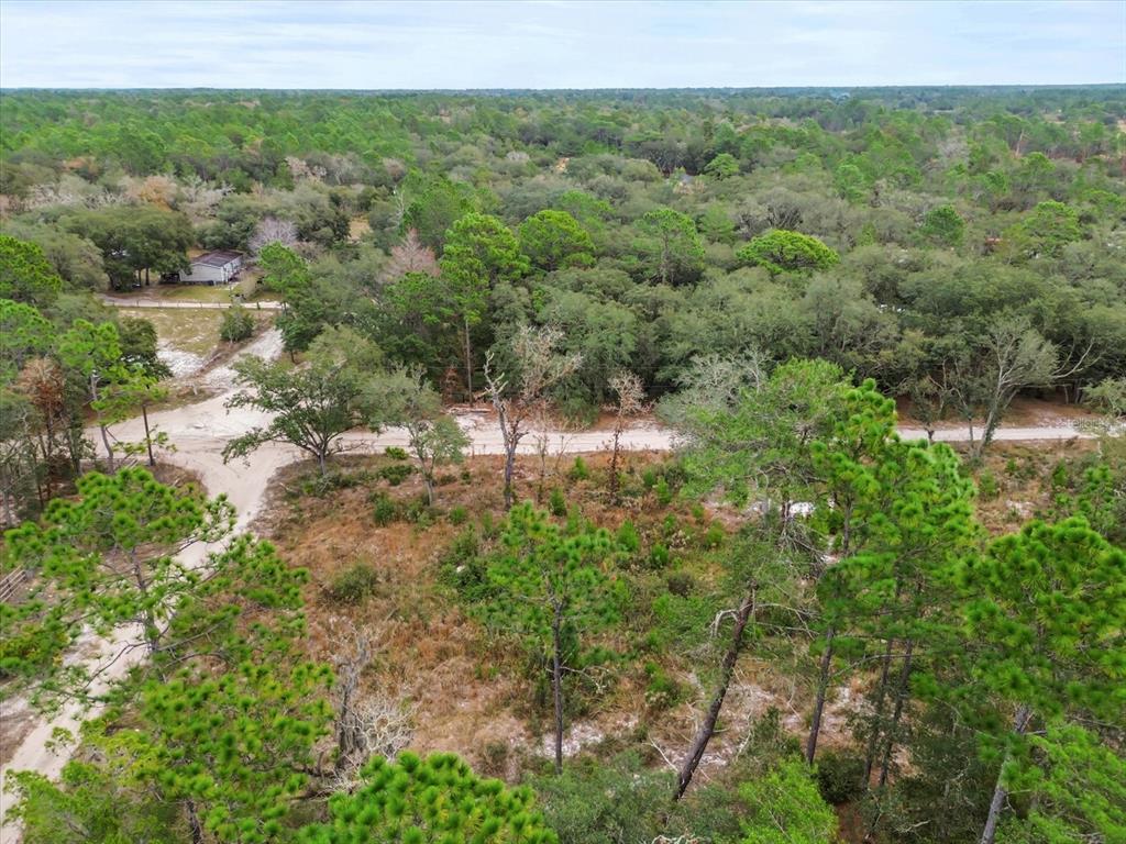 Southwest 158th Lane Ocala, FL 34472 - Photo 6 of 12