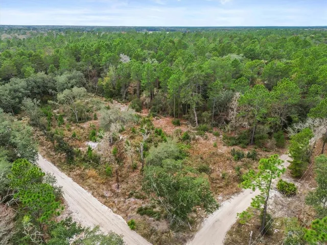 a view of a green field with lots of bushes