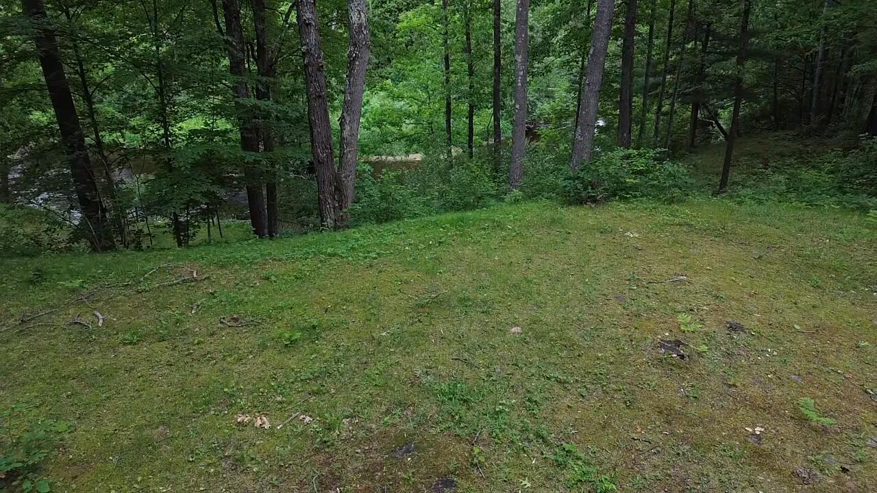 South Woods Road Branch, MI 49402 - Photo 12 of 14 vacant.lot9