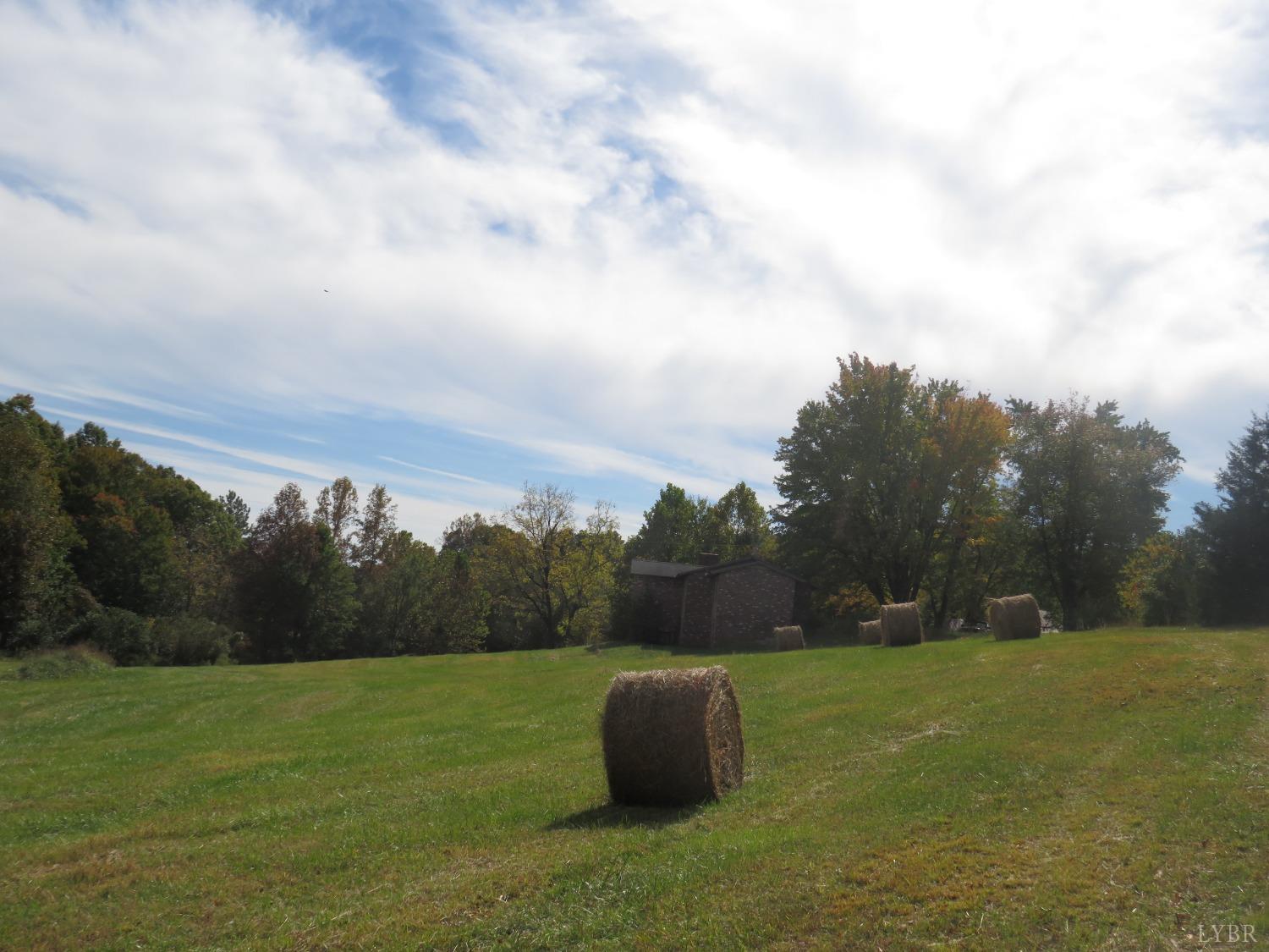 14324 Red House Road Concord, VA 24538 - Photo 23 of 90