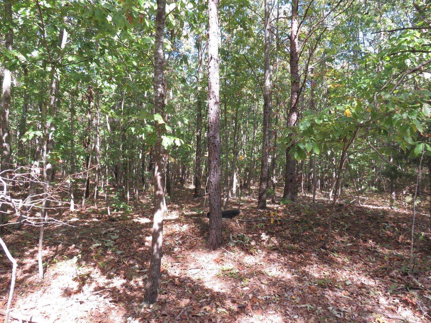 14324 Red House Road Concord, VA 24538 - Photo 24 of 90